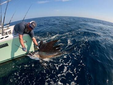 Quepos Report Photo 2