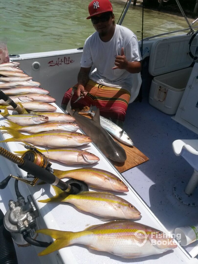 San Pedro Report Photo 0