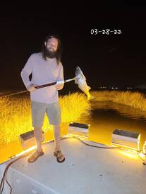 Dauphin Island Report Photo 1