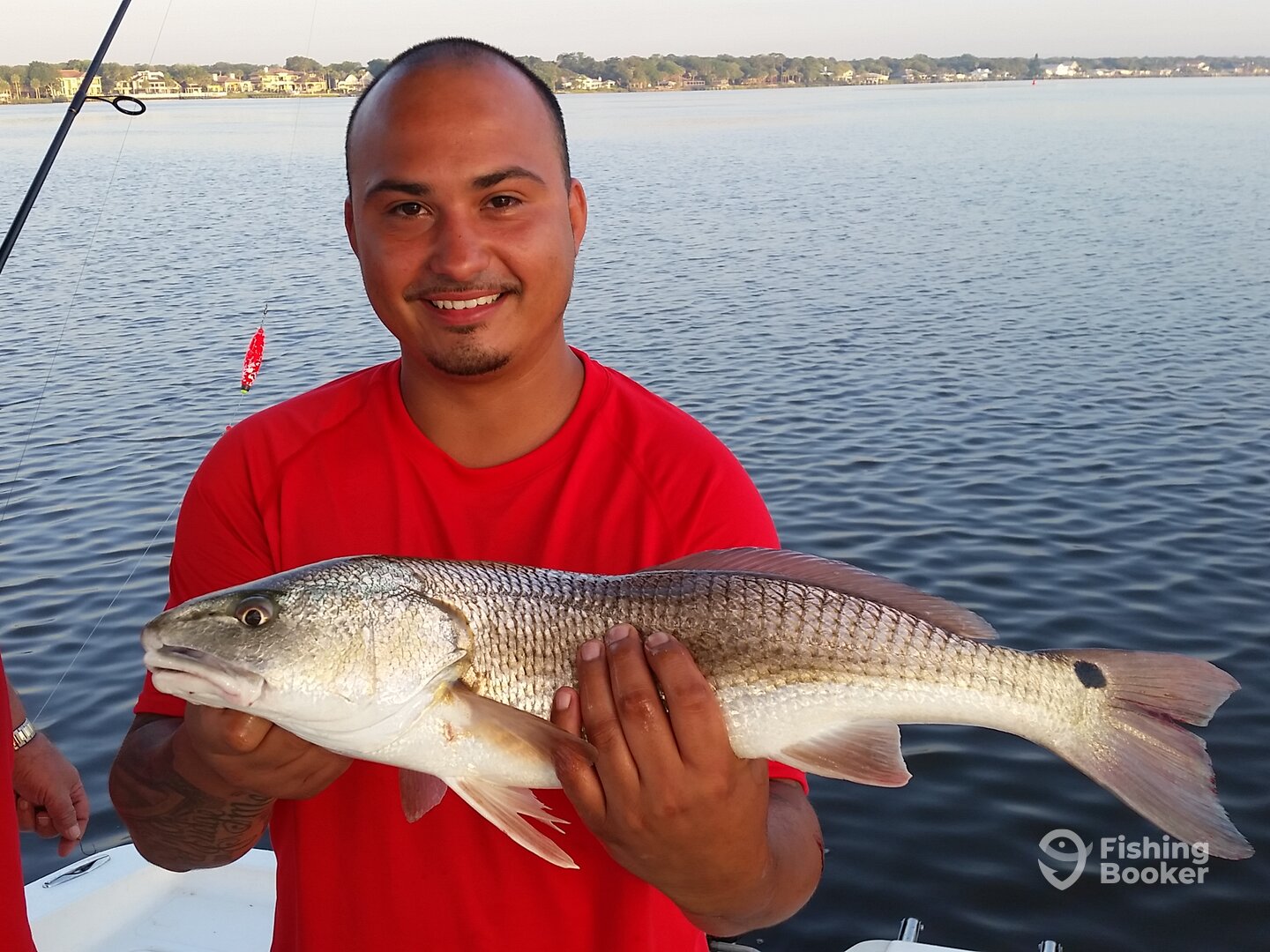 Port Orange Report Photo 0