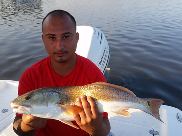 Port Orange Report Photo 2