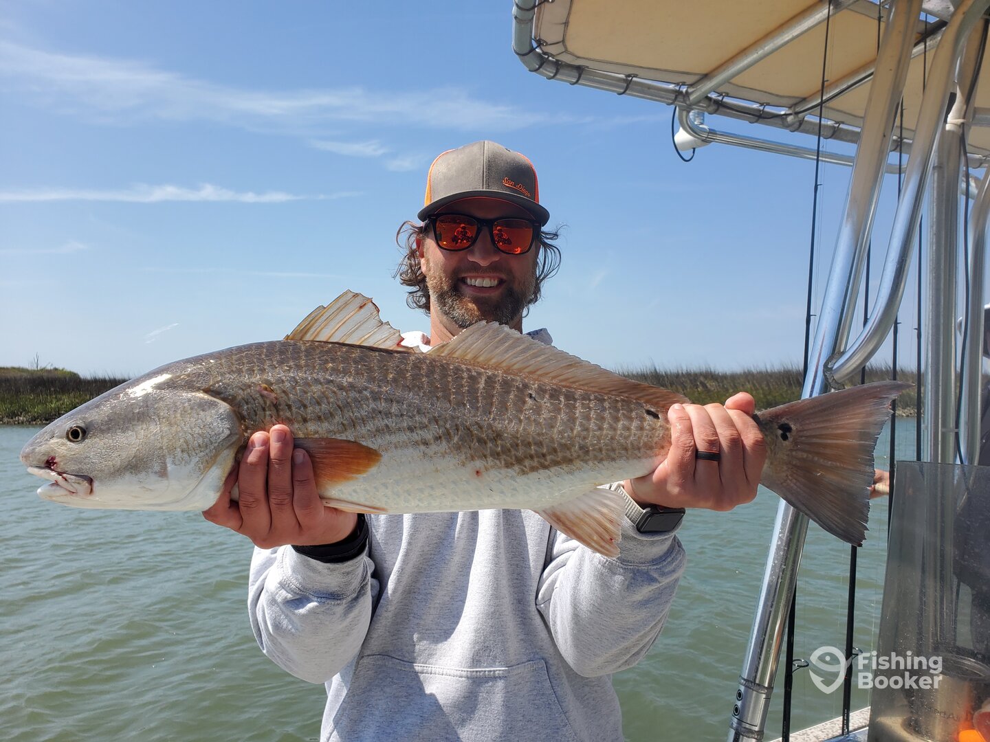 Mount Pleasant Report Photo 0