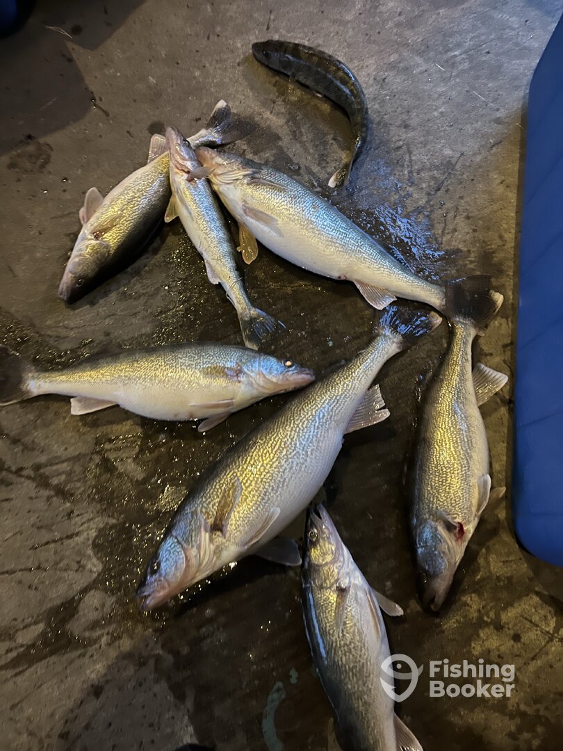 Wyandotte Report Photo 0