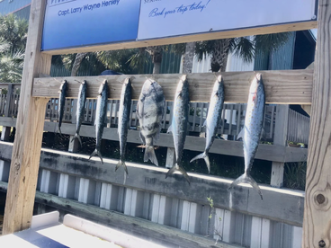 Destin Report Photo 1