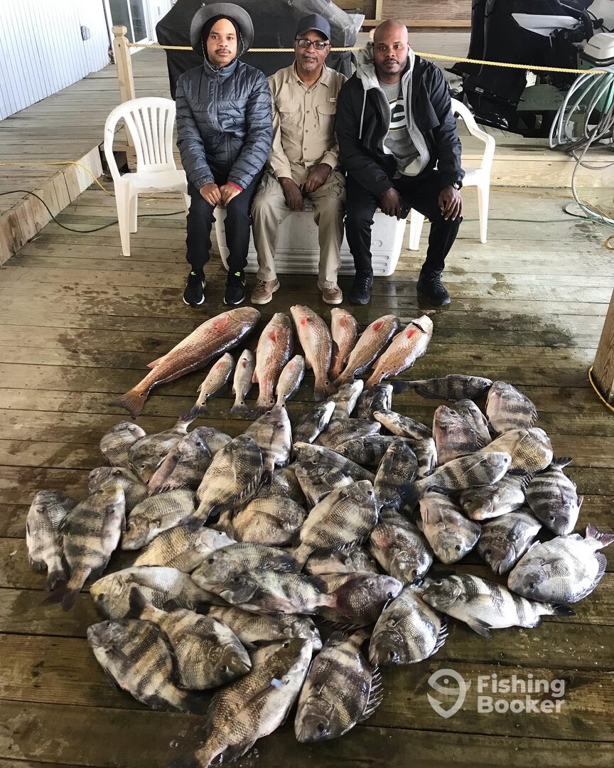 Venice Report Photo 0