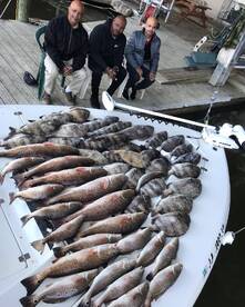 Venice Report Photo 1