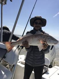 Venice Report Photo 2