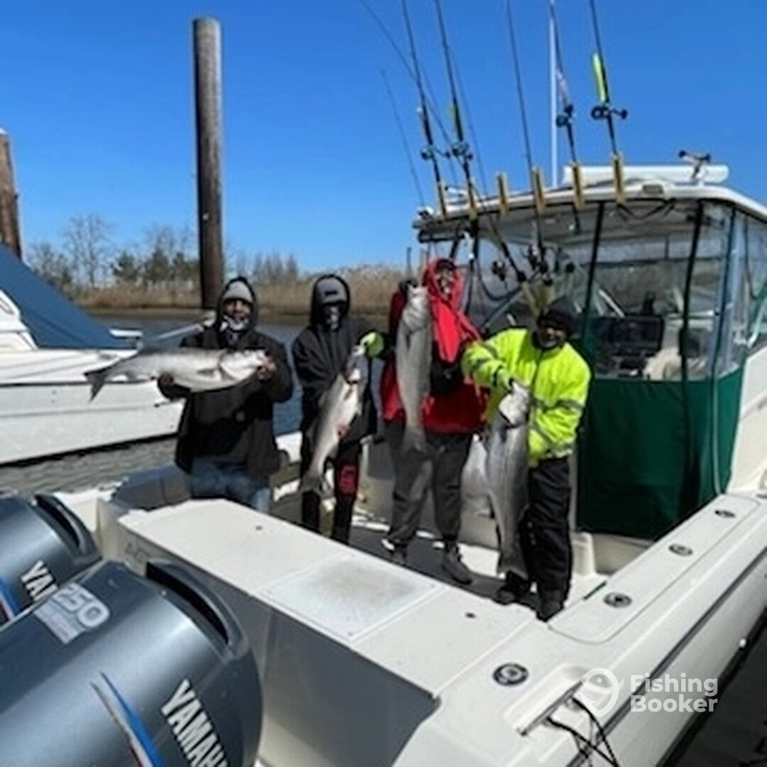 Middletown Township Report Photo 0