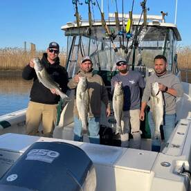 Middletown Township Report Photo 2