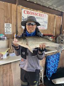 Pottsboro Report Photo 2