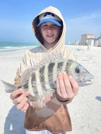 Sarasota beach fishing tearing it up! 