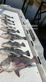 Little River Report Photo 1