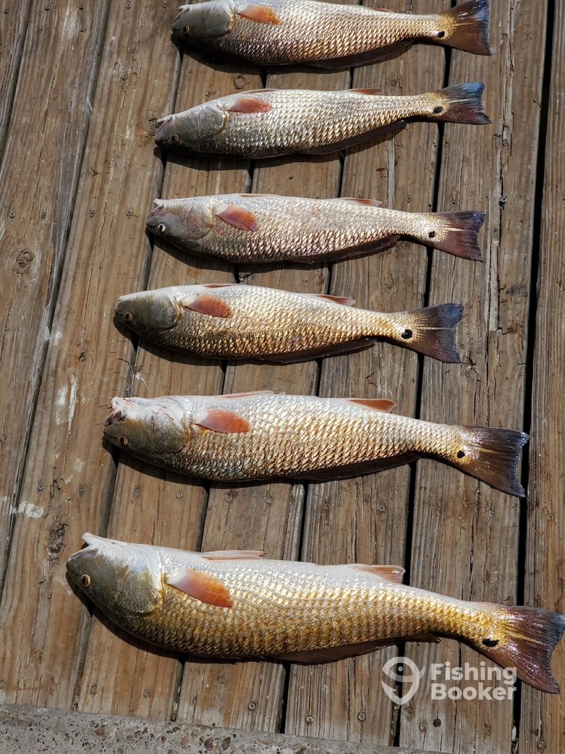 Port Aransas Report Photo 0