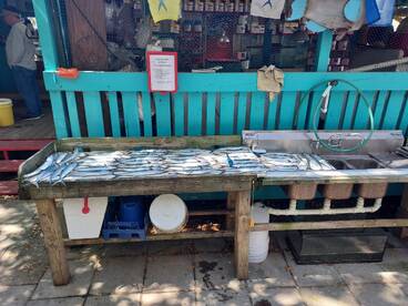 Murrells Inlet Report Photo 1