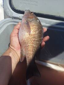 Port Canaveral Report Photo 1