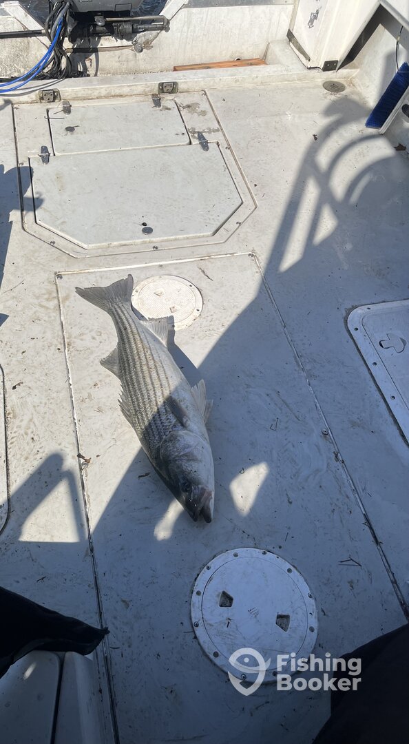 Keyport Report Photo 0