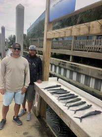 Destin Report Photo 2