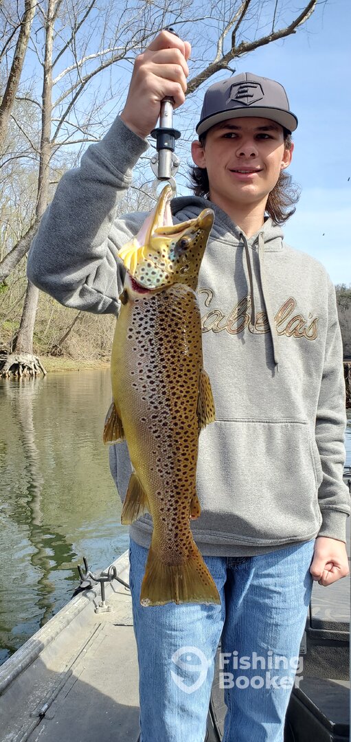 Branson Report Photo 0