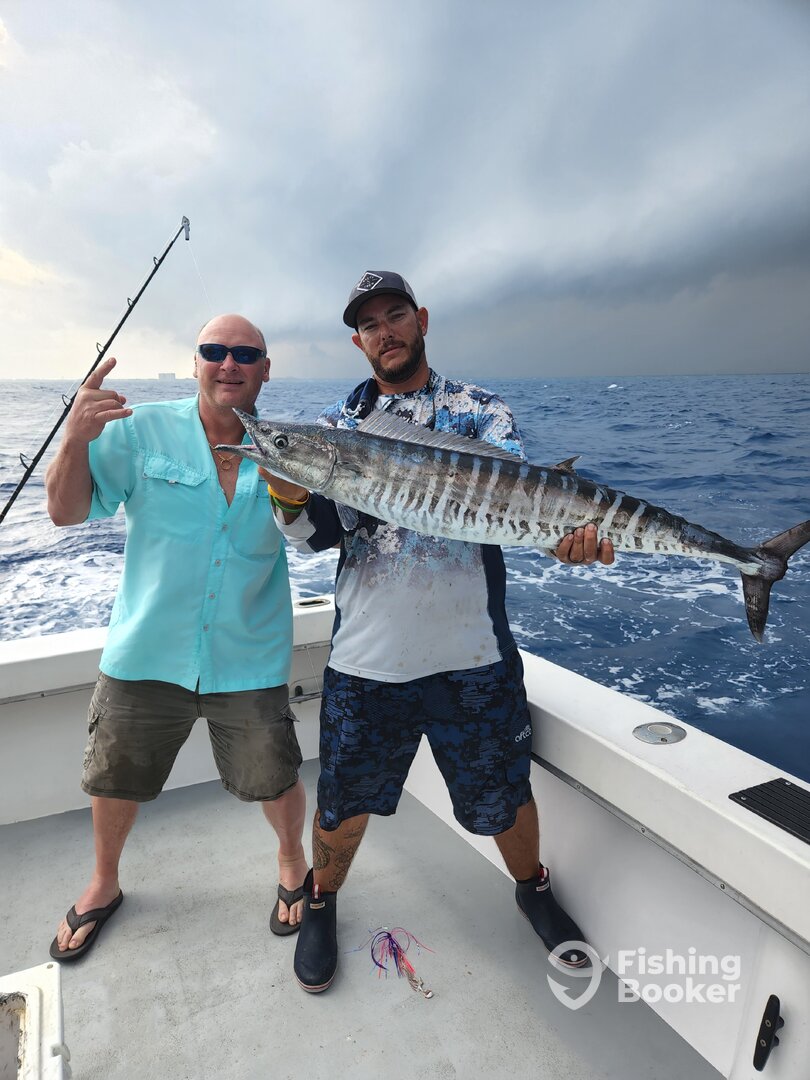 Dania Beach Report Photo 0