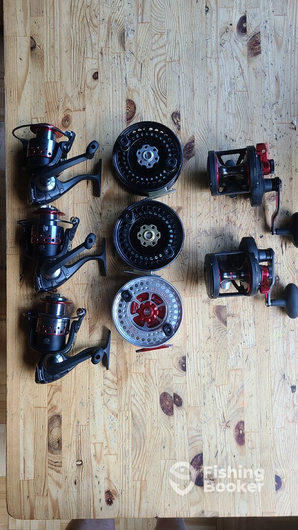 5 new and 3 back from servicing 