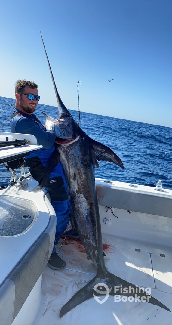 Pensacola Report Photo 0