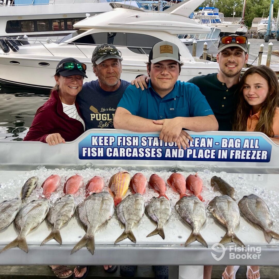 Shalimar Report Photo 0