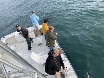 Back at it! Now taking bookings