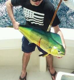 Fort Lauderdale Report Photo 1