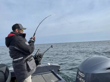 Buffalo Report Photo 2