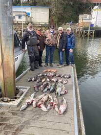 Lingcod at its finest