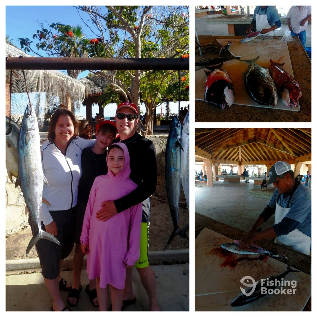 San Jose del Cabo Report Photo 0