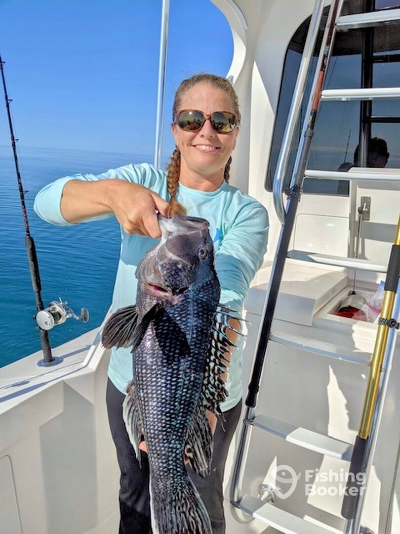 Virginia Beach Report Photo 0