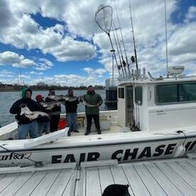 Foto Report Mastic 1