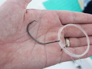 Quepos Report Photo 2