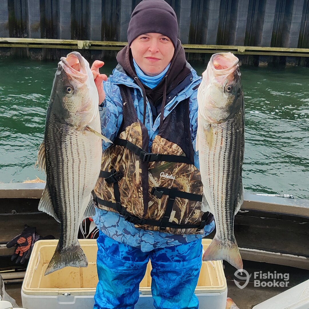 Mastic Report Photo 0