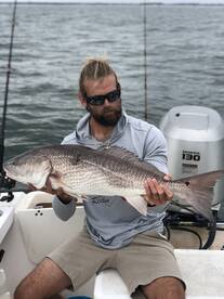 Hungry Redfish