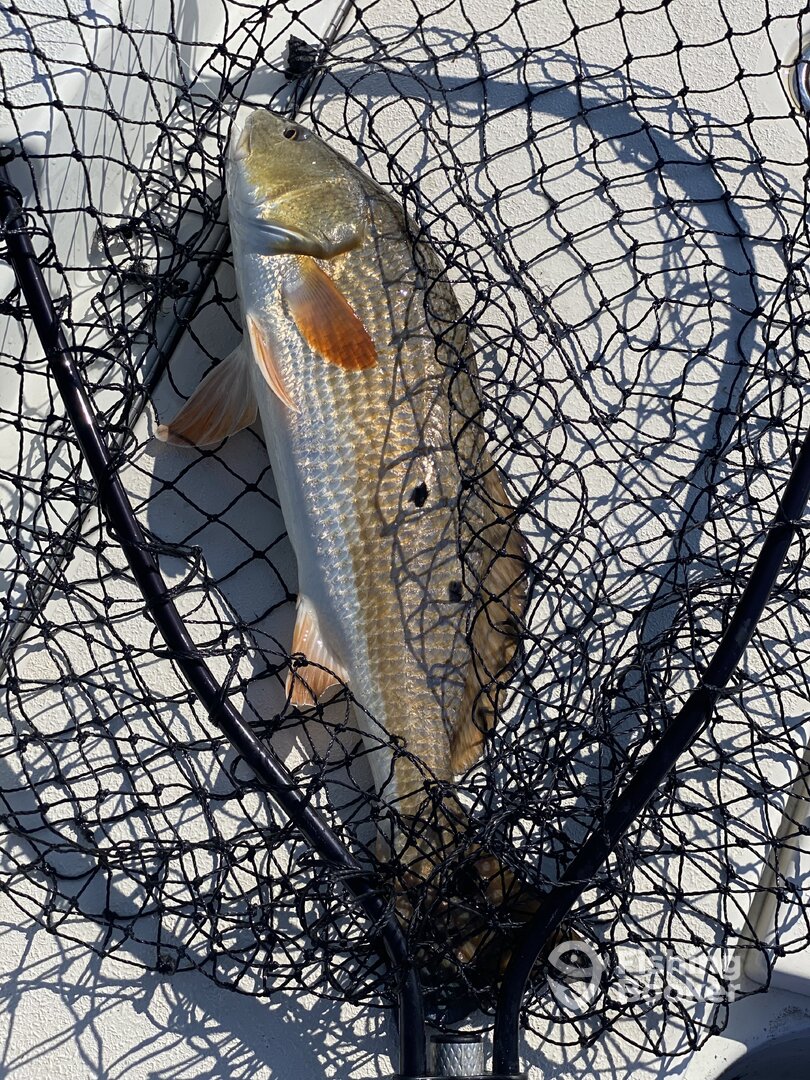 Atlantic Beach Report Photo 0