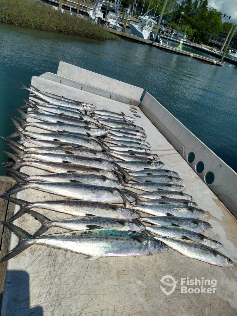 Wilmington Report Photo 0