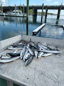 Wilmington Report Photo 1