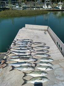 Wilmington Report Photo 2