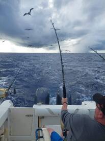 Fun Tuna Action Yesterday!