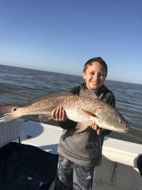 Venice Report Photo 1