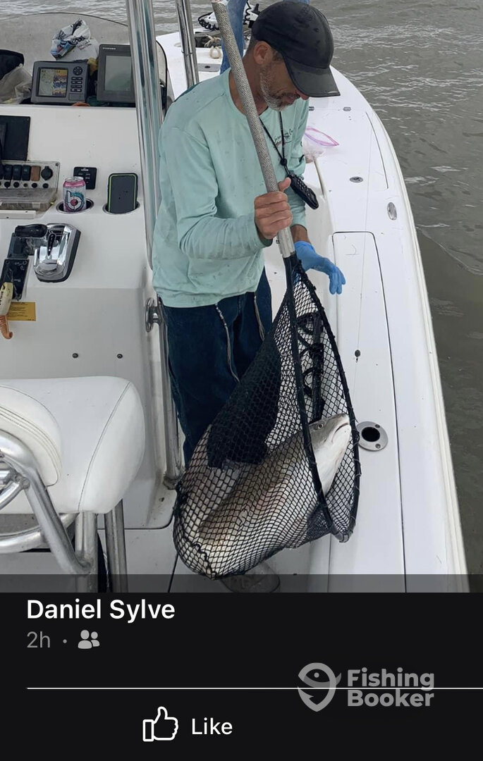 Venice Report Photo 0