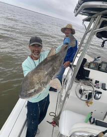 Venice Report Photo 2