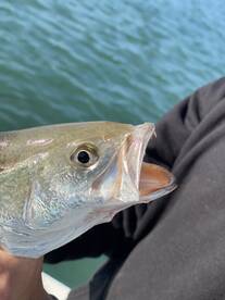 Carol and Shawn fishing/eco tour