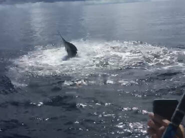 This is how we do it!!