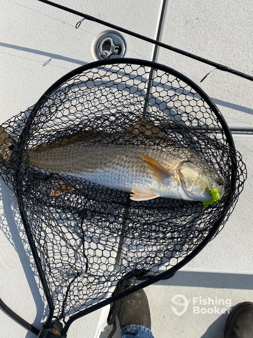 Atlantic Beach Report Photo 0