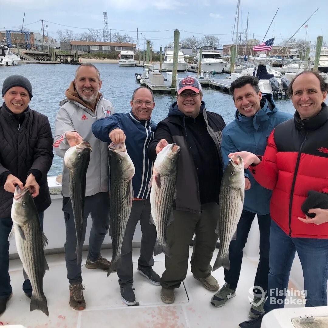 New York City Report Photo 0