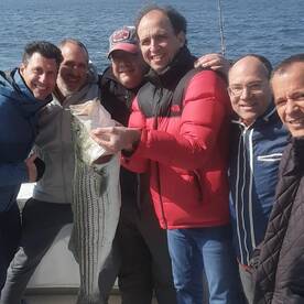 New York City Report Photo 2