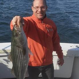 New York City Report Photo 1